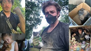 I Found 8 Kittens - Rental Property Adventures