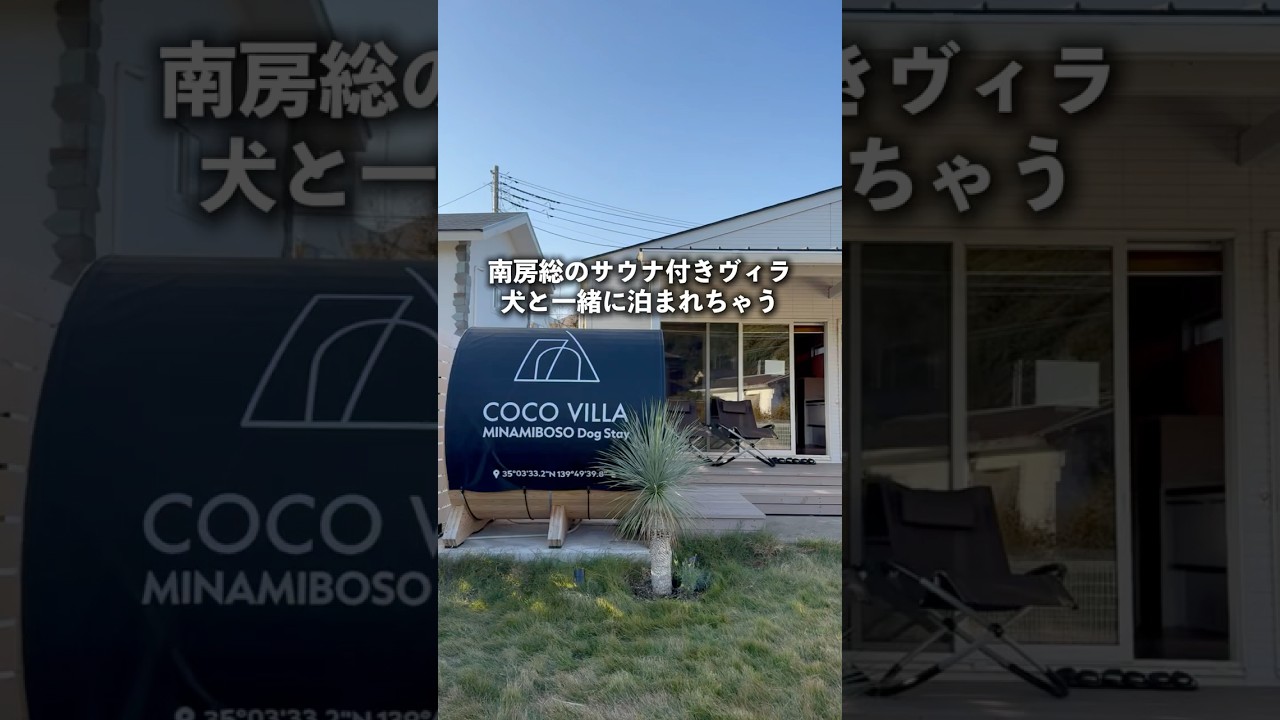 犬と旅行行きたい人はおすすめ！　#shorts