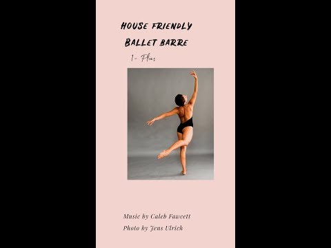 House Friendly Ballet Barre 2- Pliés