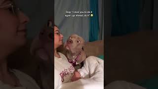 Dog Can&#39;t Believe His Owner Can &#39;Bark&#39; Back! 🐶🤣