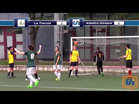 Sintesi La Traccia - Alveare