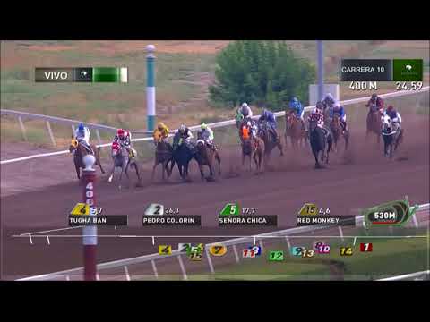 Carrera N° 10, Fecha reunión:12-01-2018 Club Hípico de Santiago
