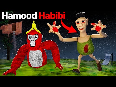 We Found HAMOOD HABIBI In Gorilla Tag