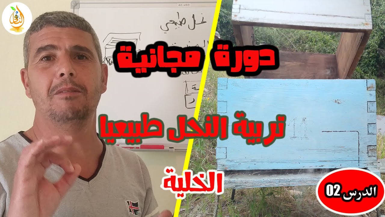 الدرس 02 / دورة تربية النحل طبيعيًا / تعرف على الخلية ومكوناتها!