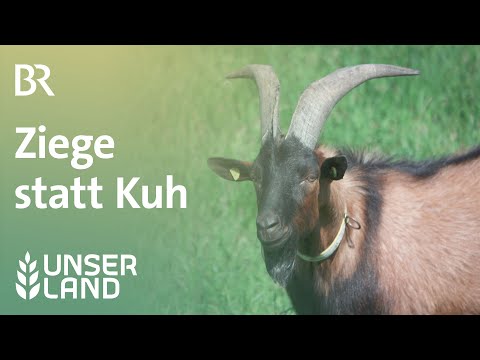 , title : 'Ziege statt Kuh | Unser Land | BR Fernsehen'