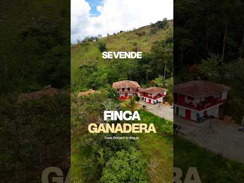 🐄🌿 FINCA GANADERA EN VENTA | SANTA BÁRBARA, ANTIOQUIA