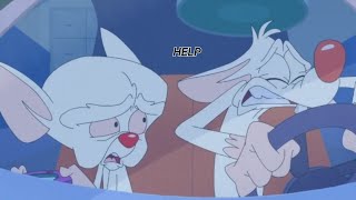 Animaniacs S3// Pinky Screaming At Brain