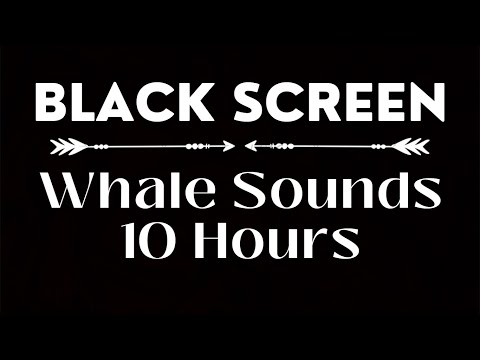 Underwater Whale Sounds | Sounds for Sleeping | 10 Hours Black Screen