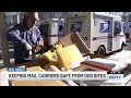 Postal Service Marks Dog Bite Awareness Month With Safety Reminder For Pet Owners