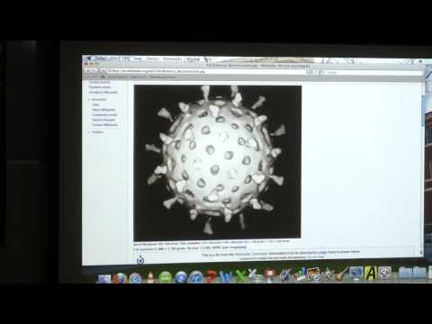 #22 BB 350 Biotechnology II / Viruses I - Kevin Ahern's Biochemistry Online