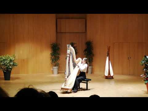 Mikhail Mchedelov Variations on a Theme of Paganini for harp