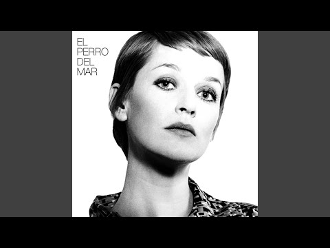 Party - El Perro del Mar