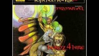 JERU THE DAMAJA - Bitches  Wit   Diks