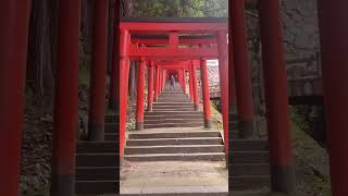 2026年7月14日