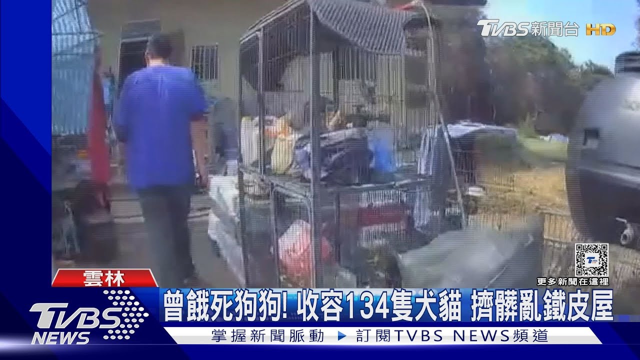 曾餓死狗狗！收容134隻犬貓　擠髒亂鐵皮屋