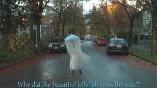 The Haunted Jellyfish
