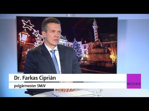 Mozaik - közéleti magazin - vendég: Dr. Farkas Ciprián - 2019.12.02. - SopronTV