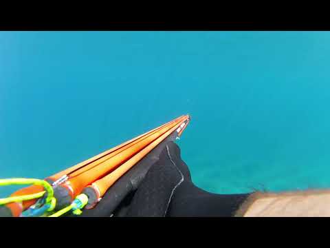 Seabass 3+ kg from the surface - Spearfishing Croatia