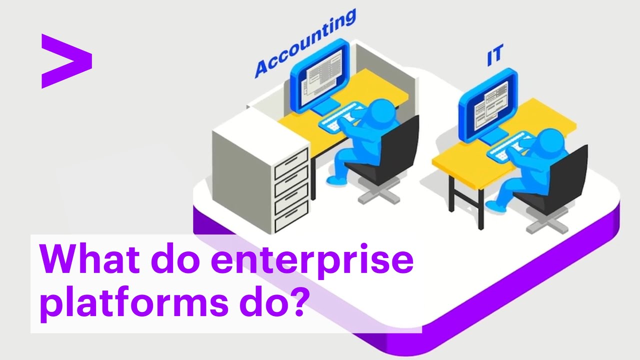 What do Enterprise Platforms do?