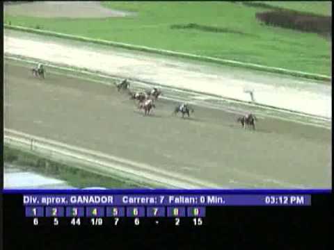 Resumen Domingo, 05 de Mayo de 2013 - La Rinconada