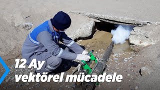 12 Ay Vektörel Mücadele | Antalya