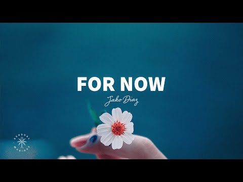 Jako Diaz - For Now (Lyrics) ft. Margret