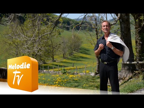 Tommy Steib - A Mutter, die vergisst man nicht (Offizielles Musikvideo)