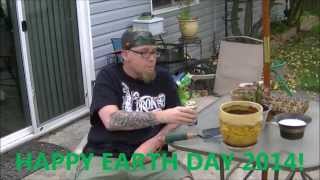 Mr  P Chill   - Earth Day 2014 Message