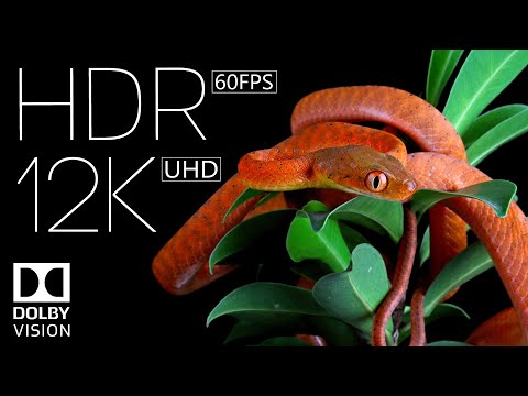 12K HDR 60fps Dolby Vision | Stunning Clarity