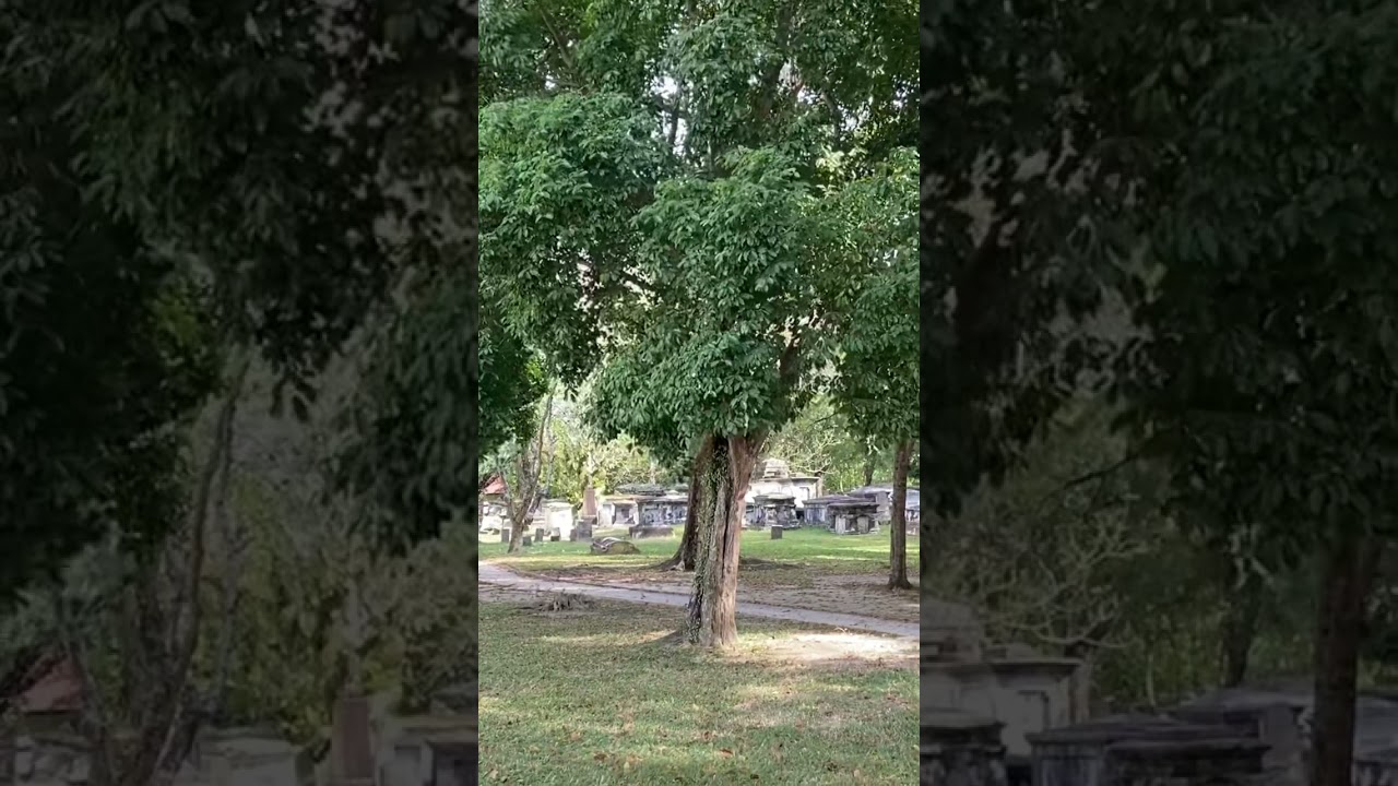 YouTube Short thumbnail