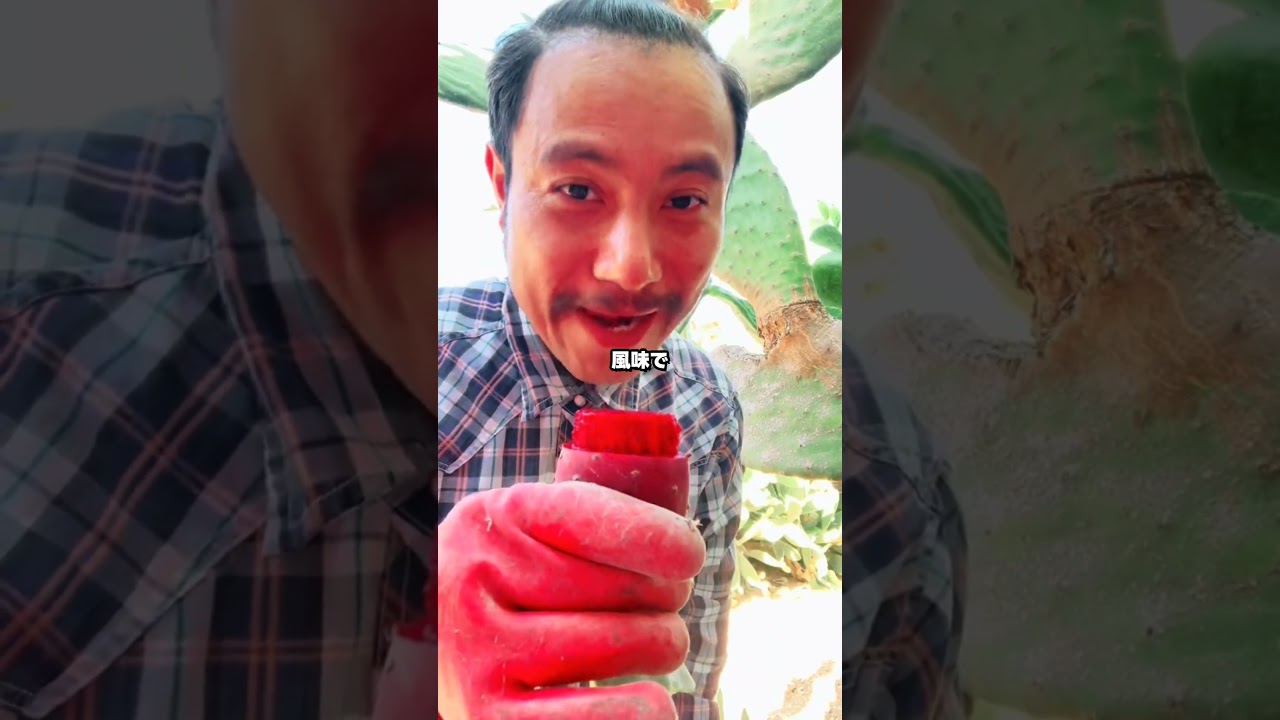 #サボテン #cactus #果実