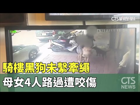 騎樓黑狗未繫牽繩　母女4人路過遭咬傷