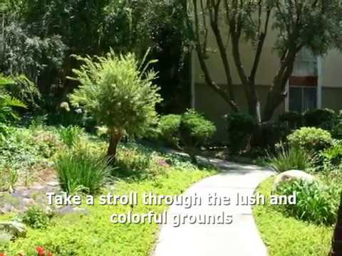 Agents in Action! team presents: 6305 Green Valley Cir., #109, Culver City, CA 90230