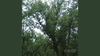 Envelop (2024 Remaster)