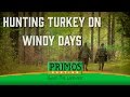 How To Hunt Turkeys On Windy Days
