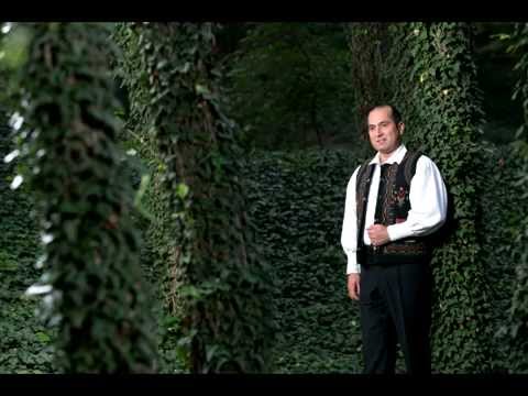 Liviu Dică - Inimioară cu durere