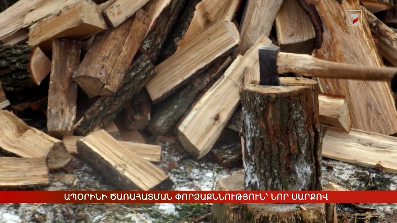 Ապօրինի ծառահատման փորձաքննություն՝ նոր սարքով