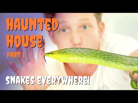 This Jungle House is Taken Over by Animals! - HALLOWEEN SPECIAL Part 1 of 2