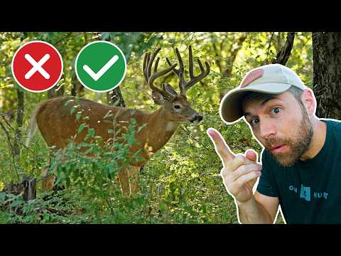 SUMMER SCOUTING - (Does it HELP or HURT?)