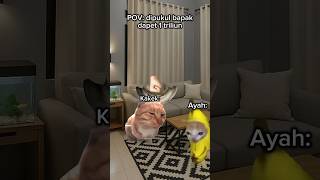 Download lagu knp tuh #kucing #kucinglucu #kucingmeme mp3