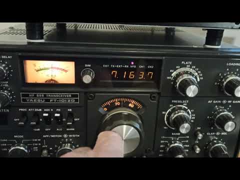 FT101ZD MK3 40m test