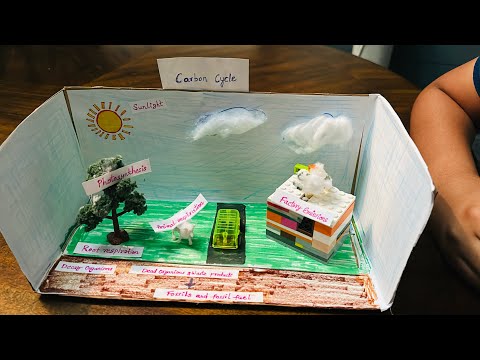 Cute Boho Carbon Cycle Study Aids