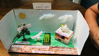 Carbon Cycle & Diorama