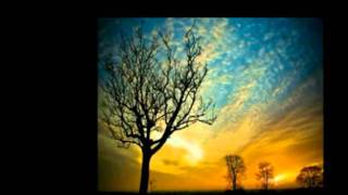 Ps 40 Sons of Korah.mpg