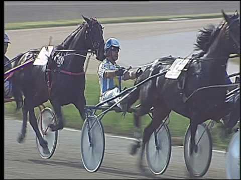 Trotto 11/06/2016 - 5° corsa