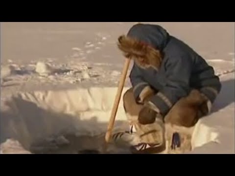 Jak loví ryby pod ledem Eskymáci