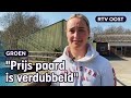 Paardrijden steeds duurder: is het alleen voor elite? | RTV Oost