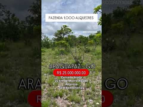 1.000 Alqueires em Araguapaz Go / whatsapp 62 99373-6407