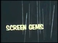 Screen Gems Television Logo 1963 1965 High Tone