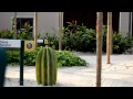 The Land Ride Epcot In 35mm Close Up My Disney HD Views